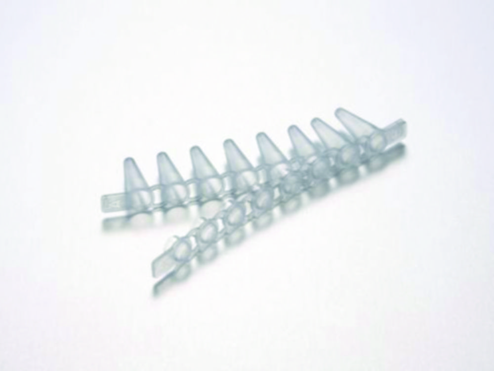 Search Fast PCR-Tubes 0.1 ml, 8 tube-strips with separate cap strip Eppendorf SE (6005) 