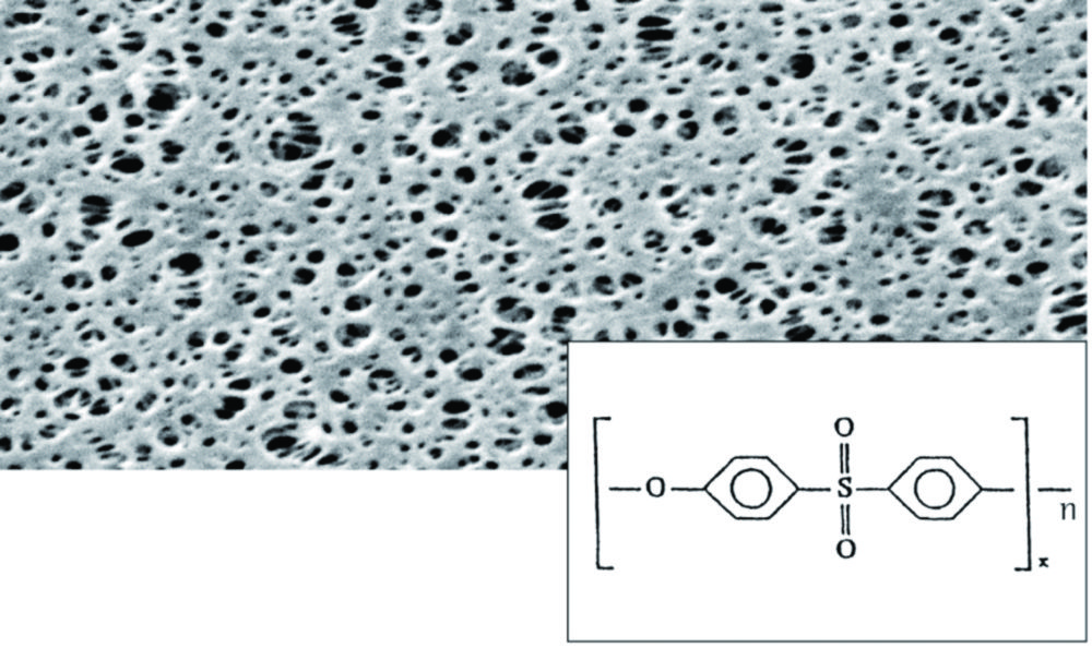 Search Membrane filter PES, hydrophil Sartorius Lab Instruments (6134) 