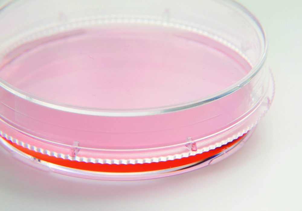 Search Cell and Tissue Culture Dishes, Nunc EasYDish, PS, sterile Thermo Elect.LED GmbH (Nunc) (6154) 