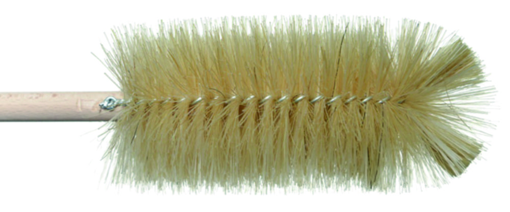 Search Beaker brushes, bristle nylon Reitenspieß-Bürsten GmbH (693473) 