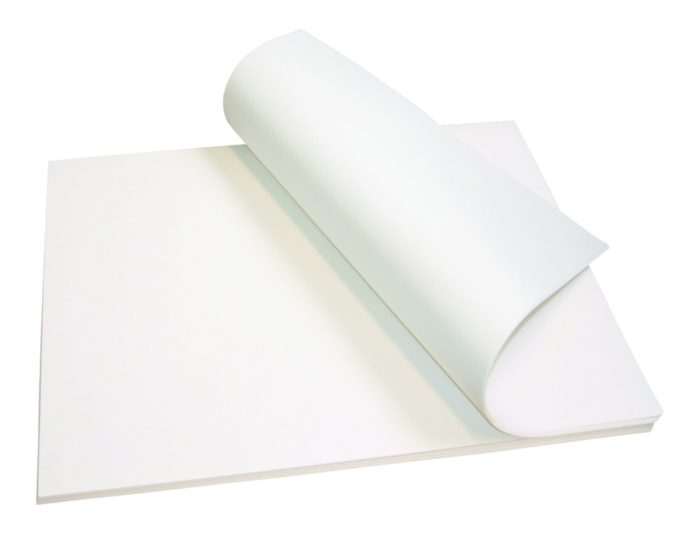 Search LLG-Filter paper, qualitative, sheets, medium fast LLG Labware (7923) 