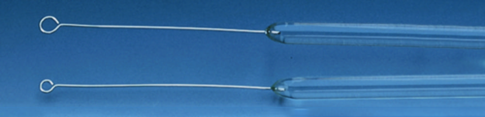 Search Inoculation loops, platinum-iridium, fused into glass rod LLG (793325) 