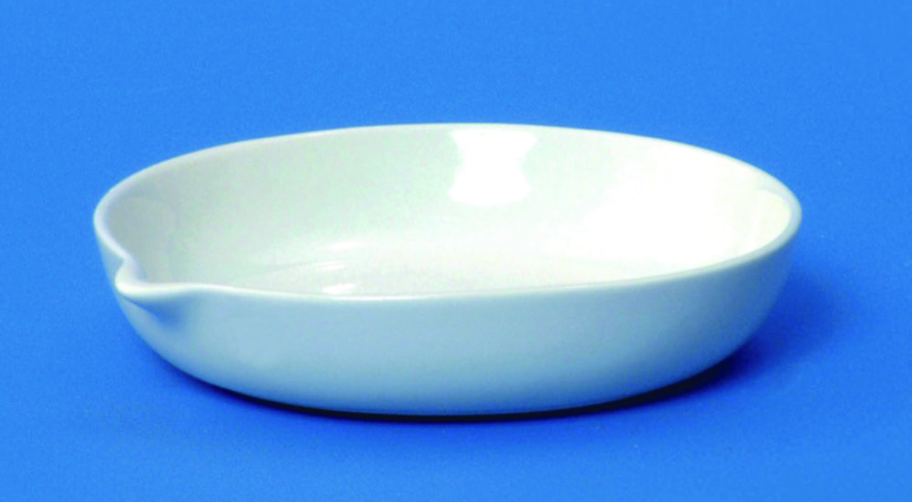 Search LLG-Evaporating dishes, porcelain, low form LLG Labware (8167) 