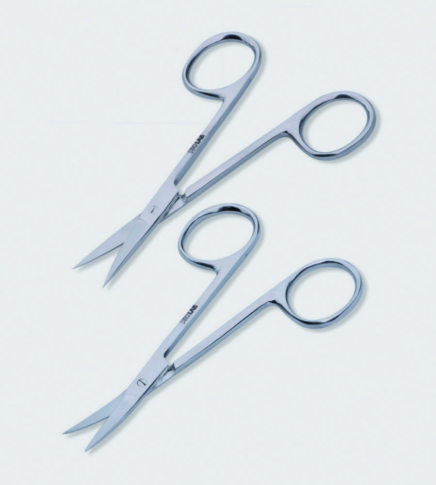 Search Scissors dissecting, stainless steel ISOLAB Laborgeräte GmbH (8219) 