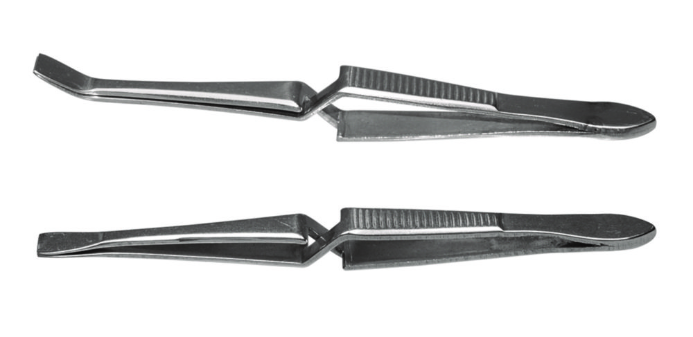 Search LLG-Cover glass forceps, self-locking, stainless steel LLG Labware (8399) 