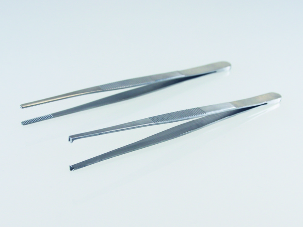 Search LLG-Forceps, stainless steel 1.4006 LLG Labware (8449) 