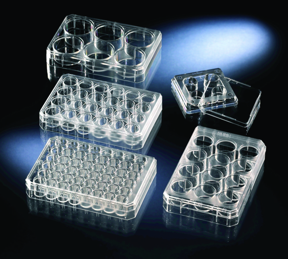 Search Multidishes, non-treated, PS, sterile Thermo Elect.LED GmbH (Nunc) (8491) 