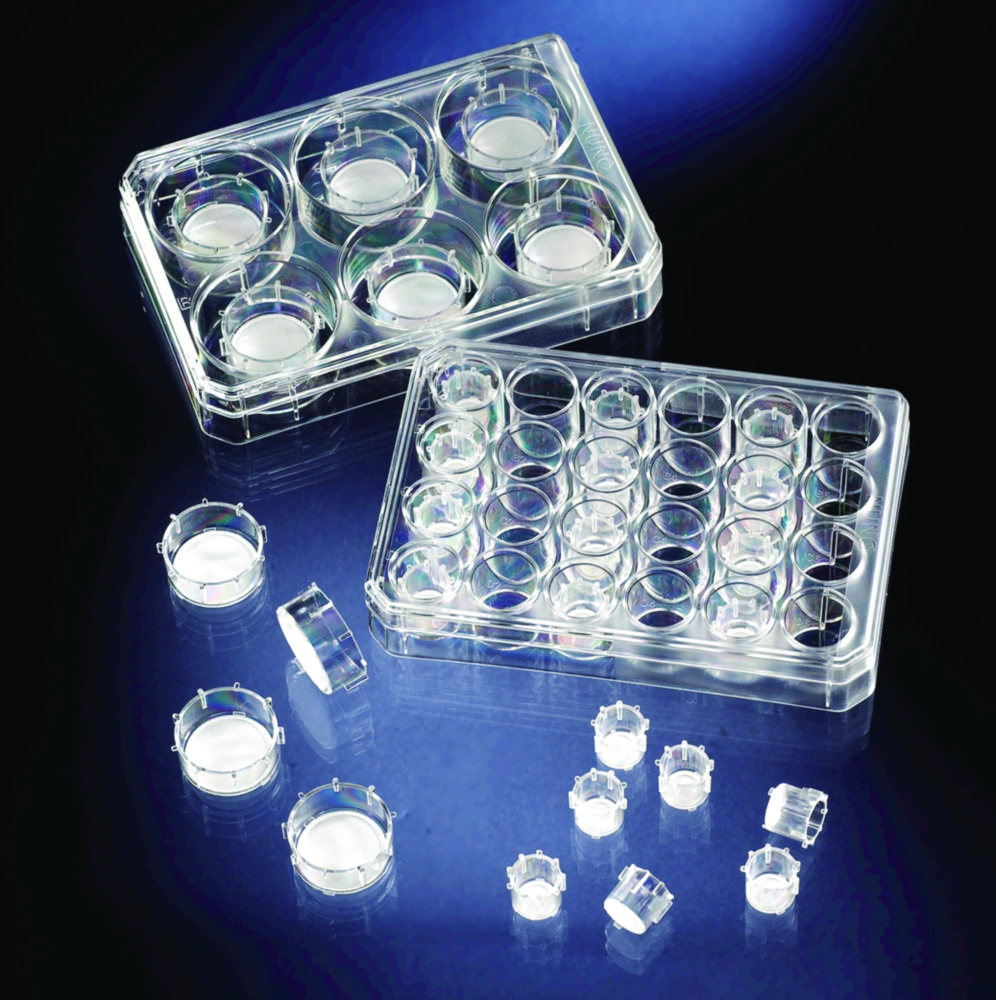 Search Cell Culture Inserts and Carrier Plates, PC, sterile Thermo Elect.LED GmbH (Nunc) (8497) 