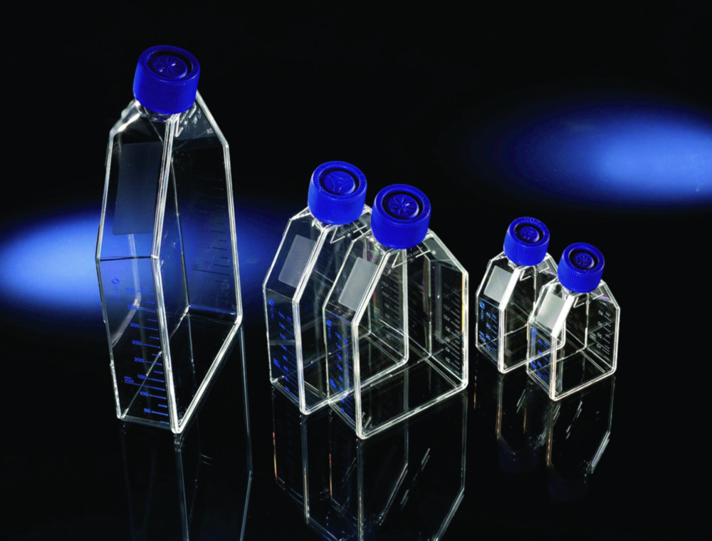 Search Cell Culture Flasks EasYFlask, treated, PS/HDPE, sterile Thermo Elect.LED GmbH (Nunc) (8542) 