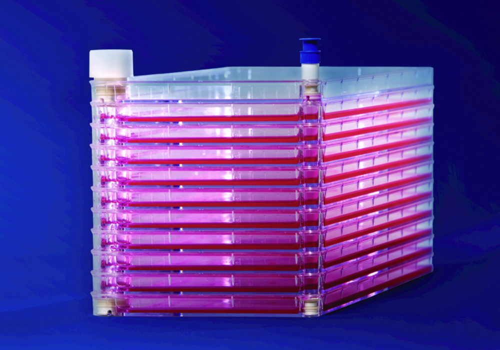 Search Cell Factories EasyFill™ mit Nunclon™? Surface, PS, sterile Thermo Elect.LED GmbH (Nunc) (8555) 