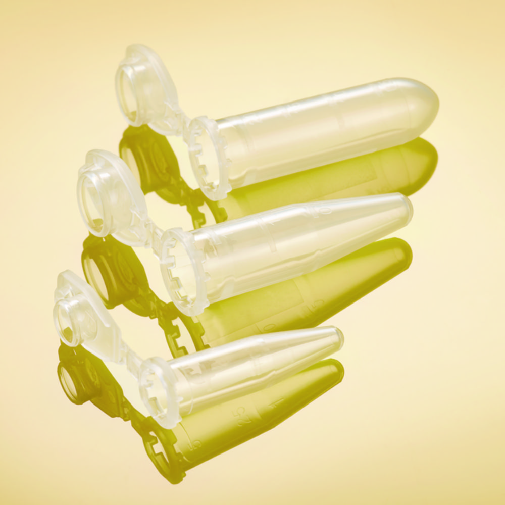 Search Safe-Lock Tubes BioBased, PP, PCR clean Eppendorf SE (892993) 