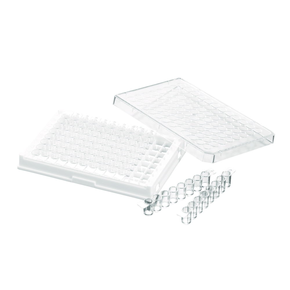 Search Cell culture plates, treated, PS, sterile, with 8-well strips Guangzhou JET Bio-Filtration (906643) 