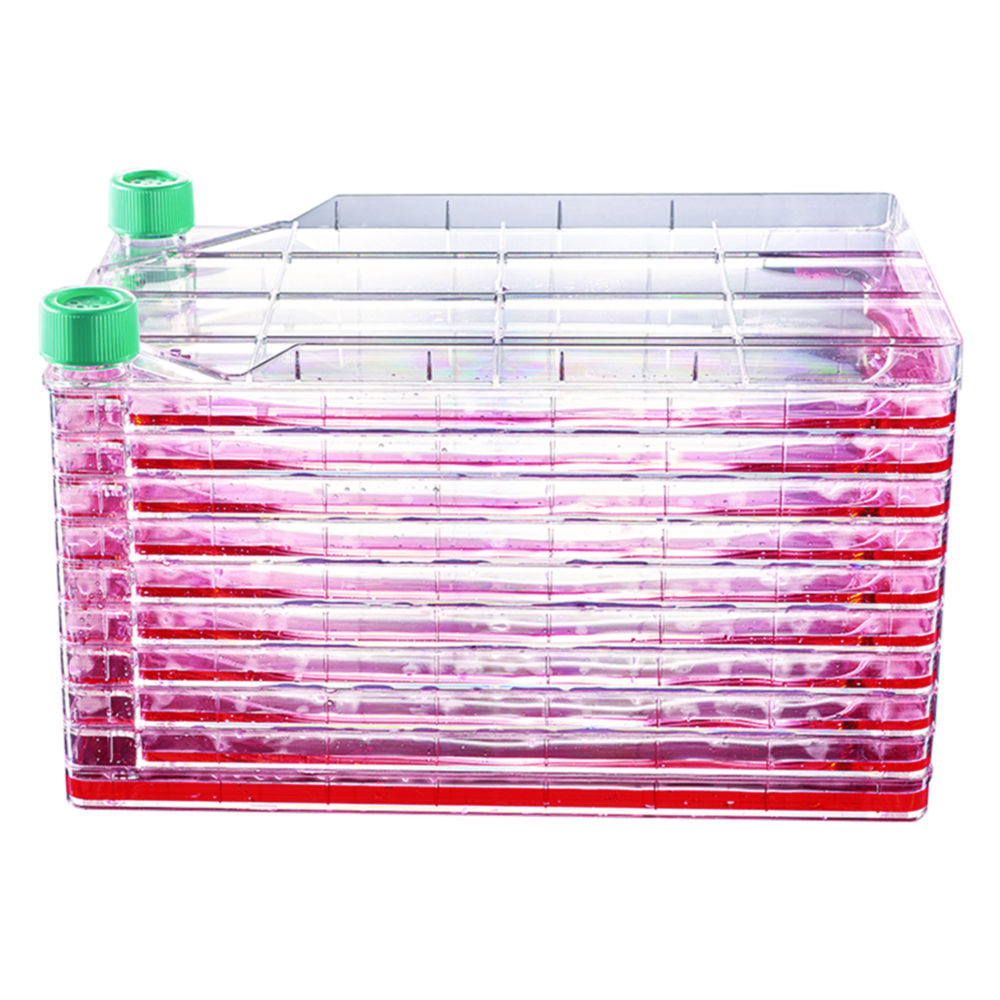 Search Multi-layer cell culture systems CellSafe CellFac, 10-layer Guangzhou JET Bio-Filtration (906872) 