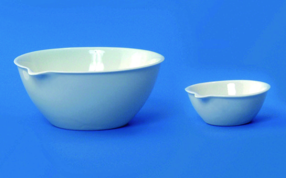 Search LLG-Evaporating dishes with flat bottom, porcelain, medium form LLG Labware (9091) 
