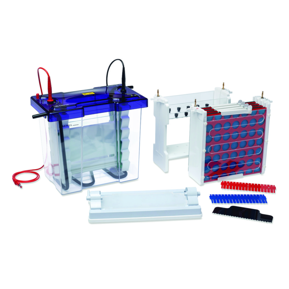 Search Gel electrophoresis tank VS20 Wave Maxi CBS Thistle Scientific Ltd. (9796) 