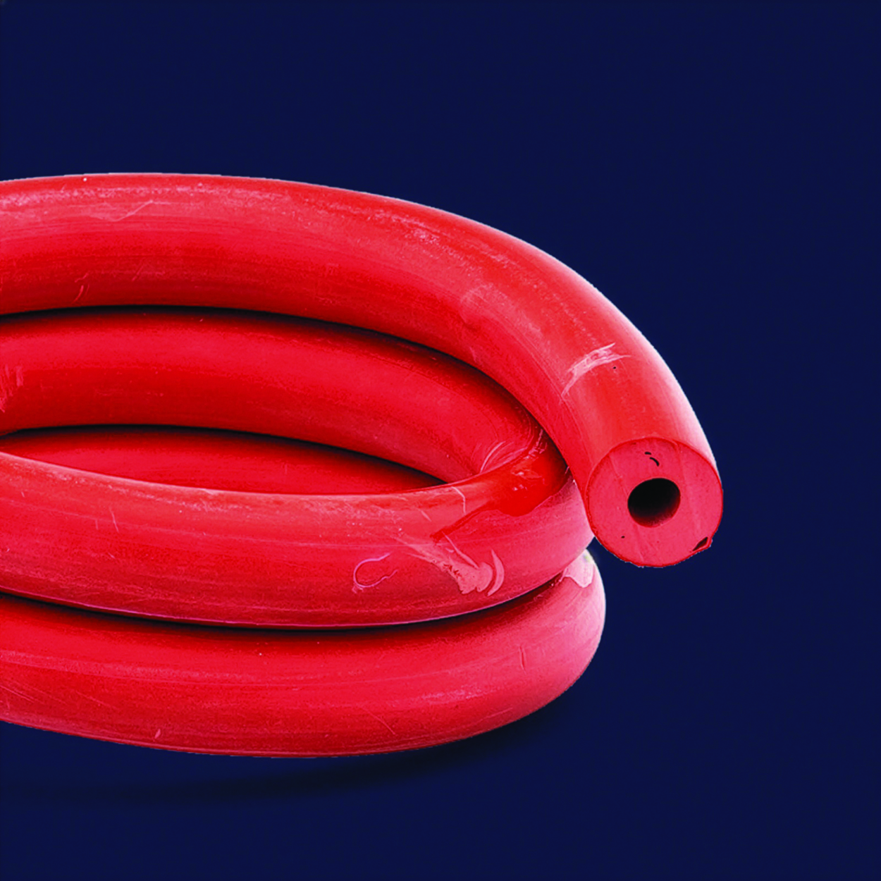 Search Rubber tubing ISOLAB Laborgeräte GmbH (985867) 