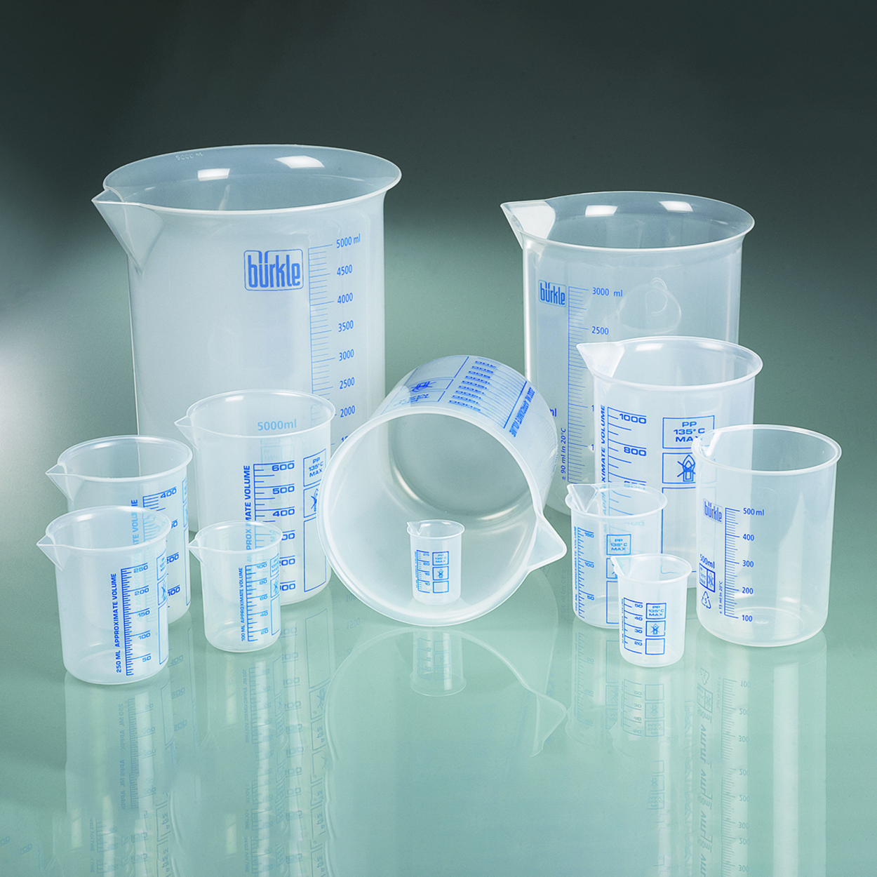 Search Griffin beakers, PP, blue scale Bürkle GmbH (988447) 