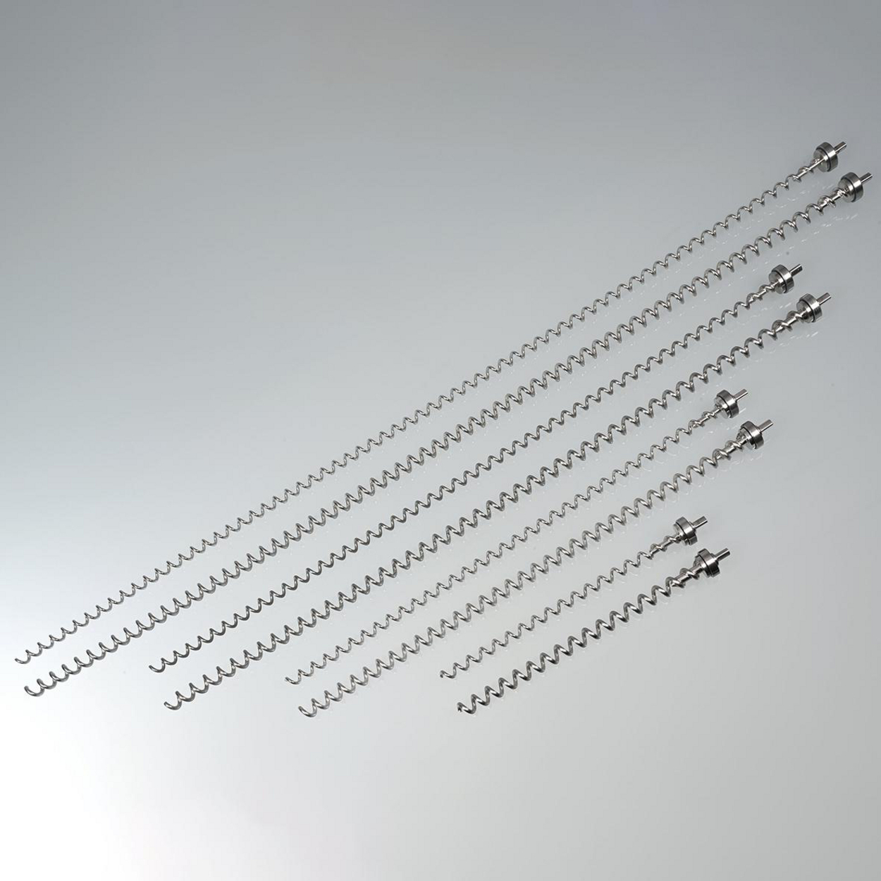 Search Conveyor spirals PowderProof Bürkle GmbH (989181) 