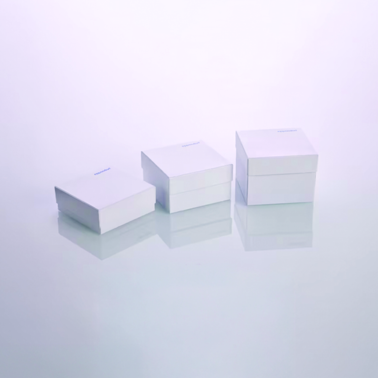 Search Storage boxes, cardboard Eppendorf SE (992555) 