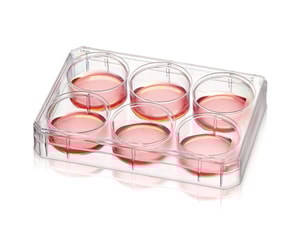 Multischalen Nunc&trade;, PS, mit Nunclon&trade; Supra-Oberfl&auml;che