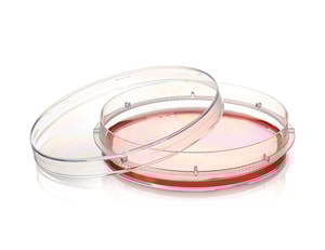 Zellkulturschalen Nunc&trade; EasYDish&trade;, PS, mit Nunclon&trade; Supra-Oberfl&auml;che