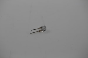 Birne Kern OBB-A1488