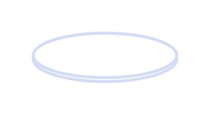 Septen N 9, PTFE virginal, wei&szlig; H&auml;rte 53&deg; shore D Septendicke 0,25 mm VE=100