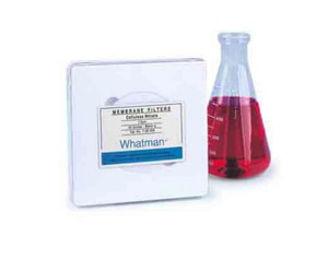 Membranfilter AE 99/5, 50 mm CN, 8 &mu;m, mit hydrophobem Rand (kein ADR), VE=100