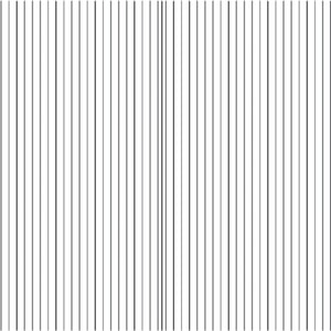 Z&auml;hlkammer nach Nageotte