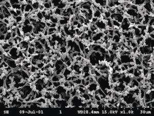 Membranfilter Sorte NC, Cellulosenitrat