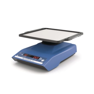 Taumelsch&uuml;ttler Rocker 3D digital