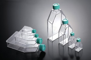 Zellkulturflaschen, behandelt, PS, steril