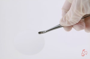 Membranfilter, Celluloseacetat, unsteril