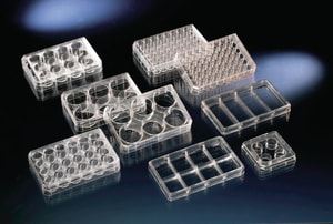 Placas de múltiples pocillos, Nunc™, superficie tratada para el cultivo celular, PS, estériles