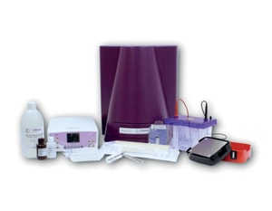 Western Blot Workflow Paket WESTERNFLOWLITE
