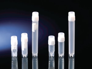 Kryor&ouml;hrchen Nunc, mit Sternfu&szlig;